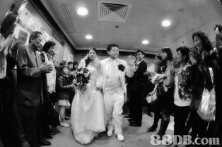 婚礼摄影与录影服务指南 如何选择最佳影像记录团队